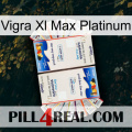 Vigra Xl Max Platinum kamagra1